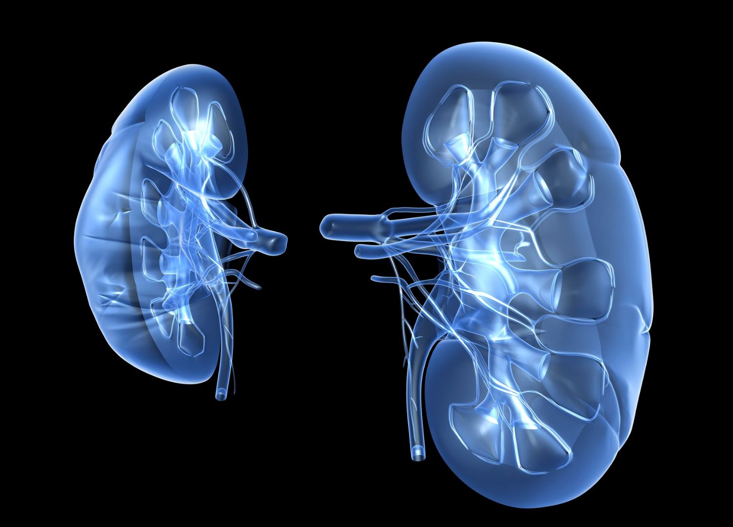 Diabetes and your Kidneys 13-03-2023 (2)